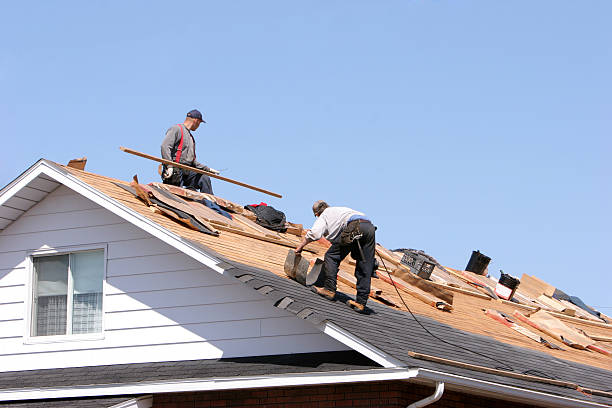 Best Emergency Roof Repair Services  in Shil, OH