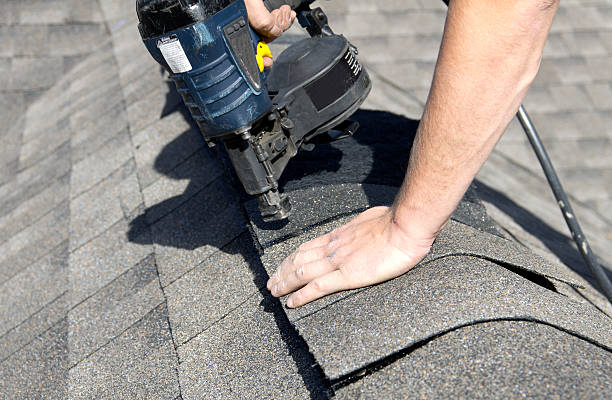 Best Roof Moss and Algae Removal  in Shil, OH